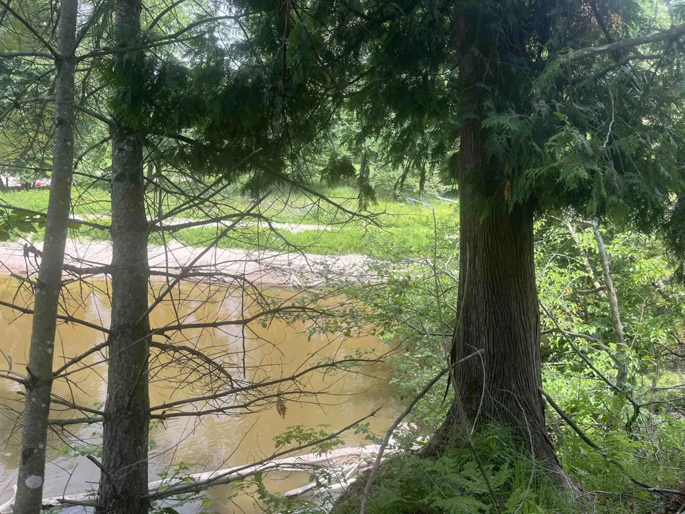 Washington Road Arenac Township, MI 48749