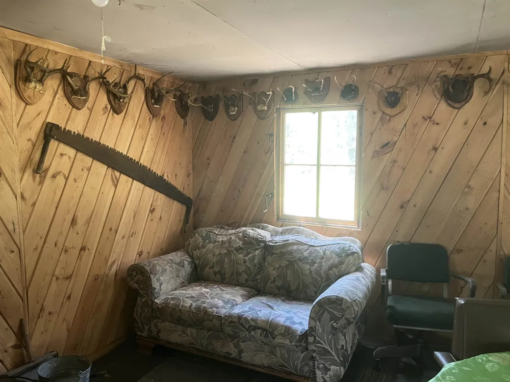Washington Road Arenac Township, MI 48749
