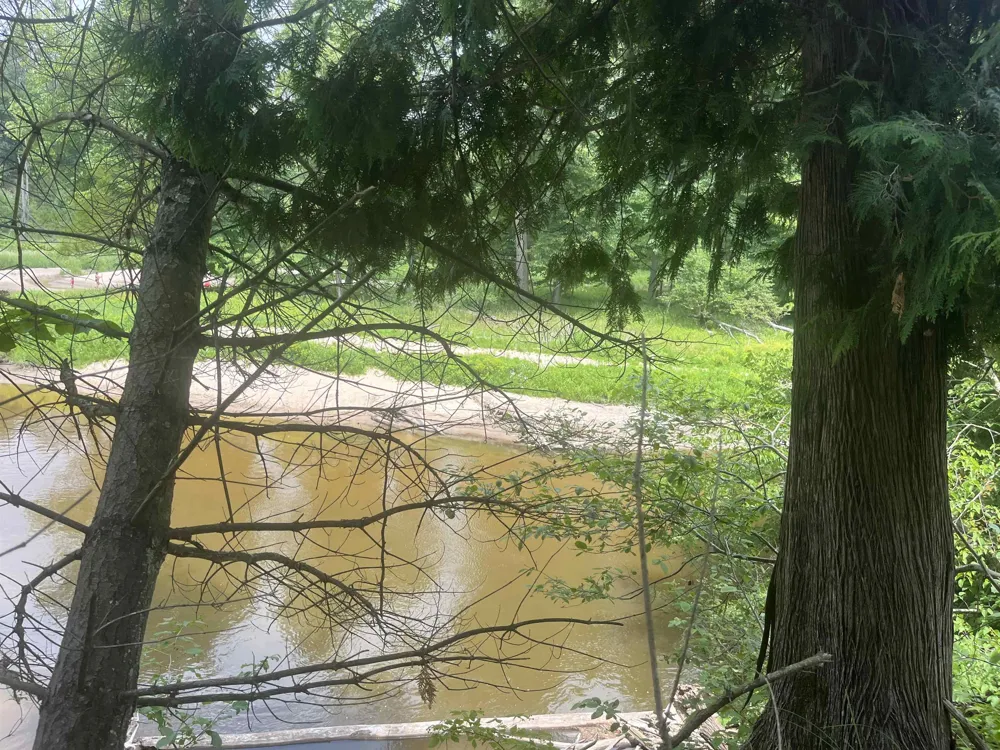 Washington Road Arenac Township, MI 48749