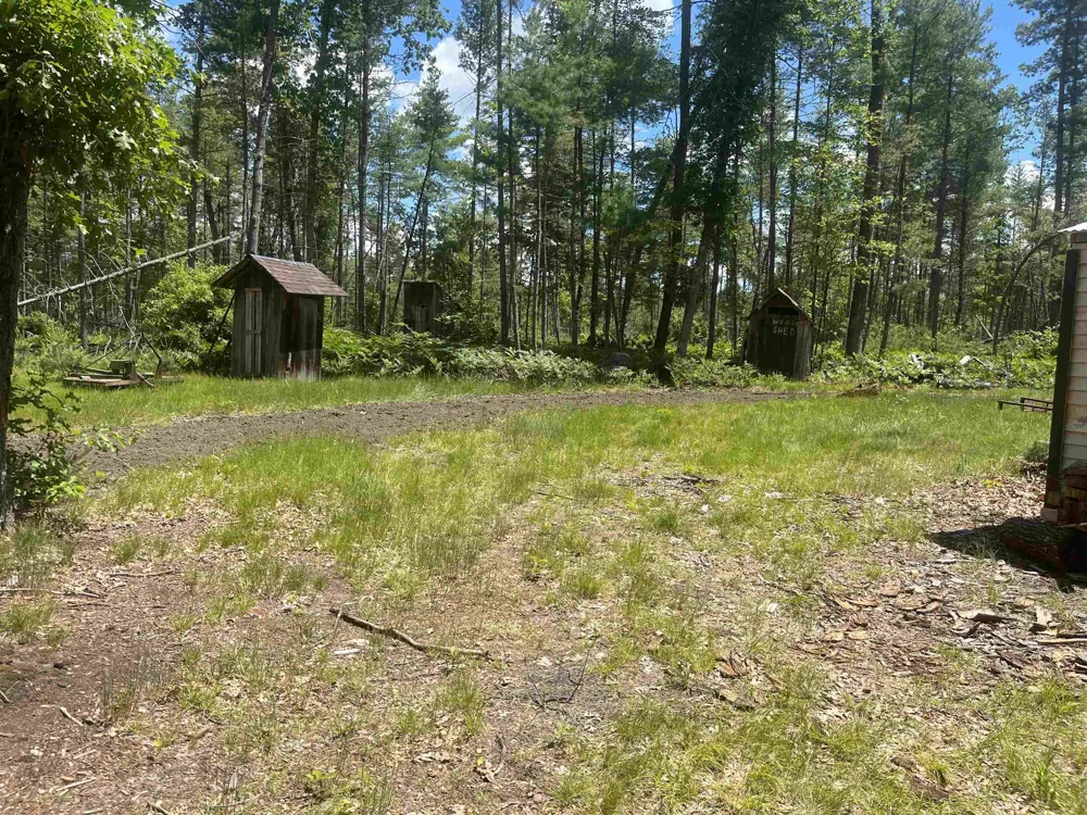 Washington Road Arenac Township, MI 48749
