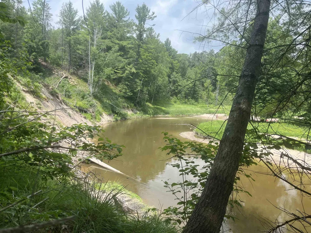 Washington Road Arenac Township, MI 48749