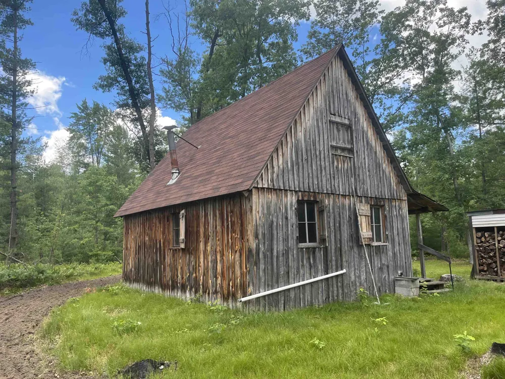 Washington Road Arenac Township, MI 48749