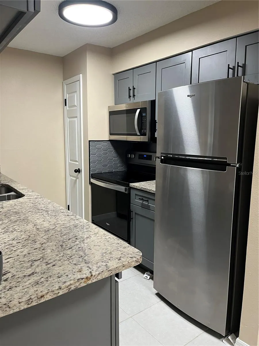 211 THORN TREE PLACE Brandon, FL 33510