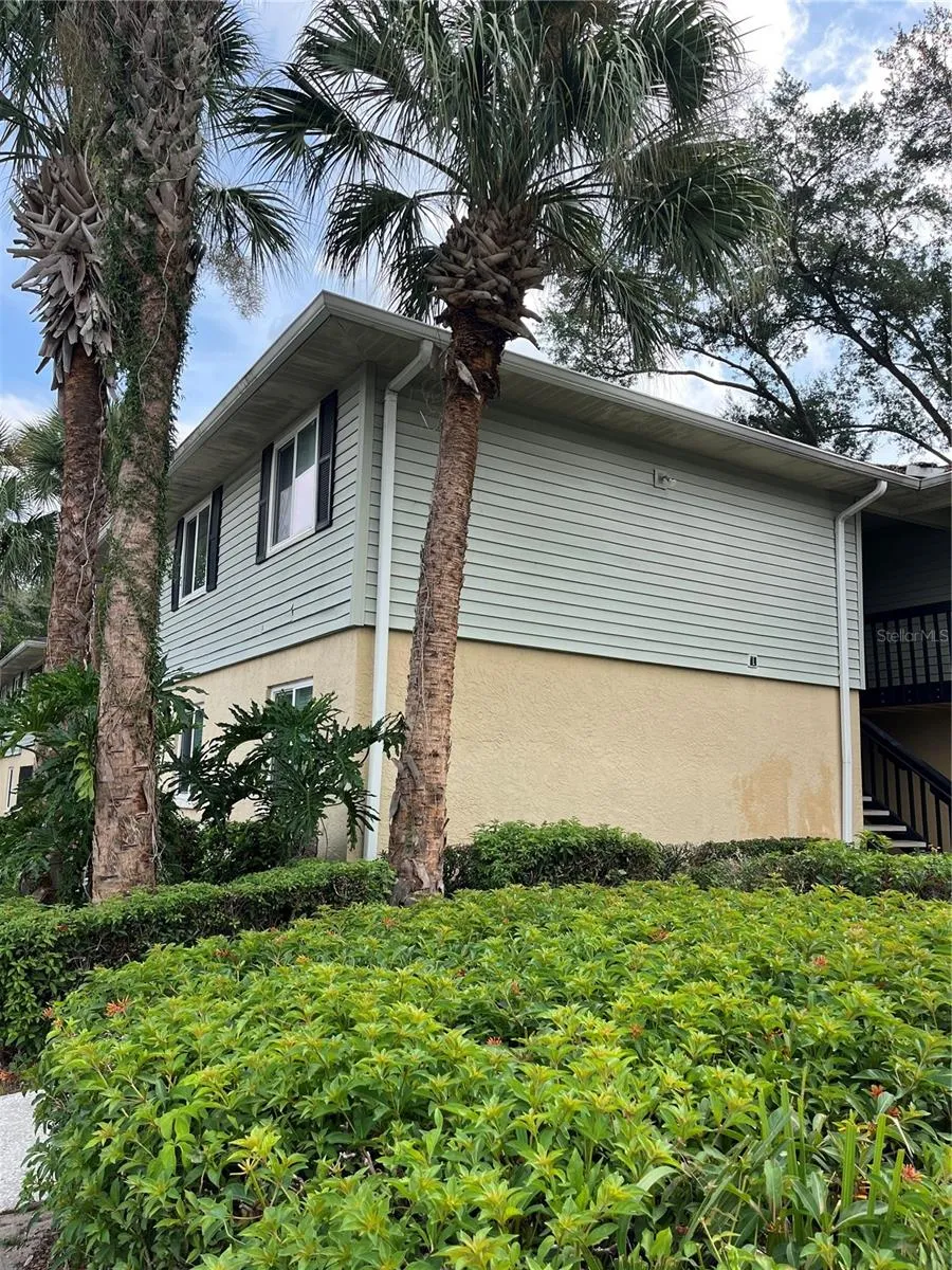 211 THORN TREE PLACE Brandon, FL 33510