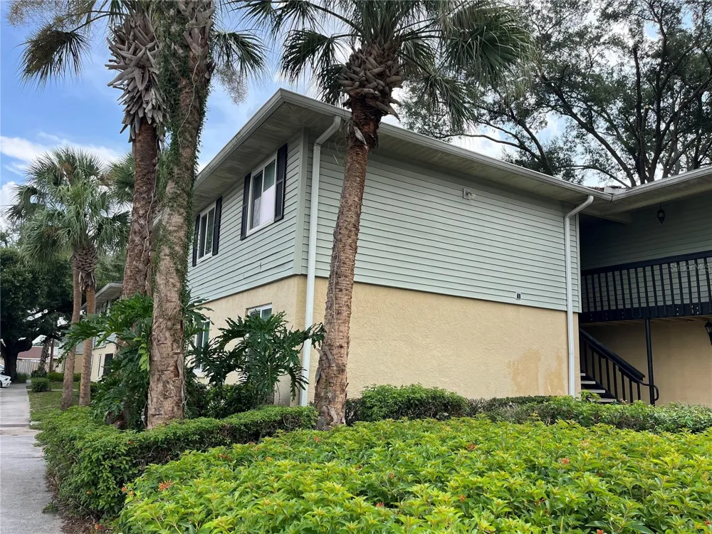 211 THORN TREE PLACE Brandon, FL 33510