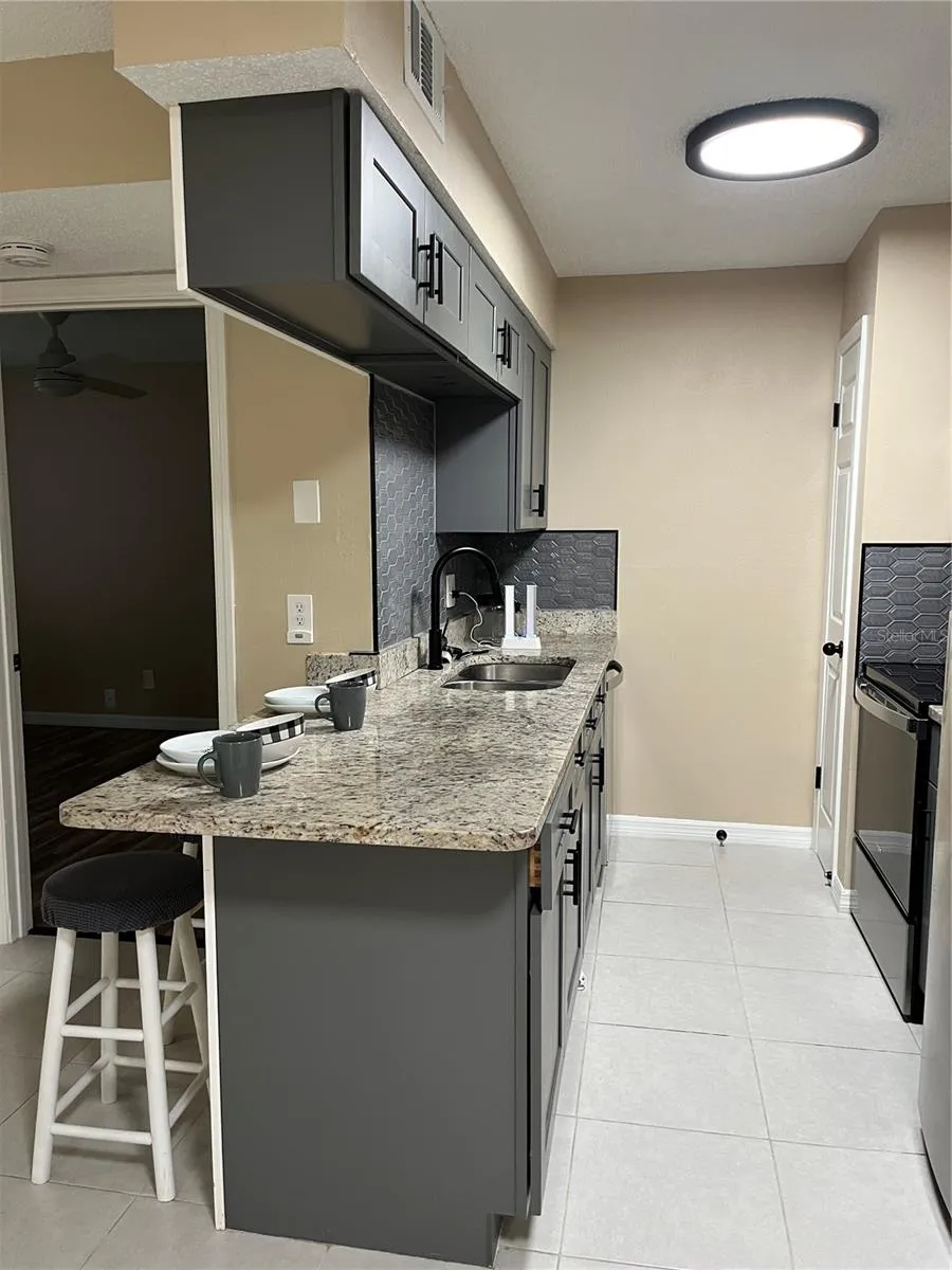 211 THORN TREE PLACE Brandon, FL 33510