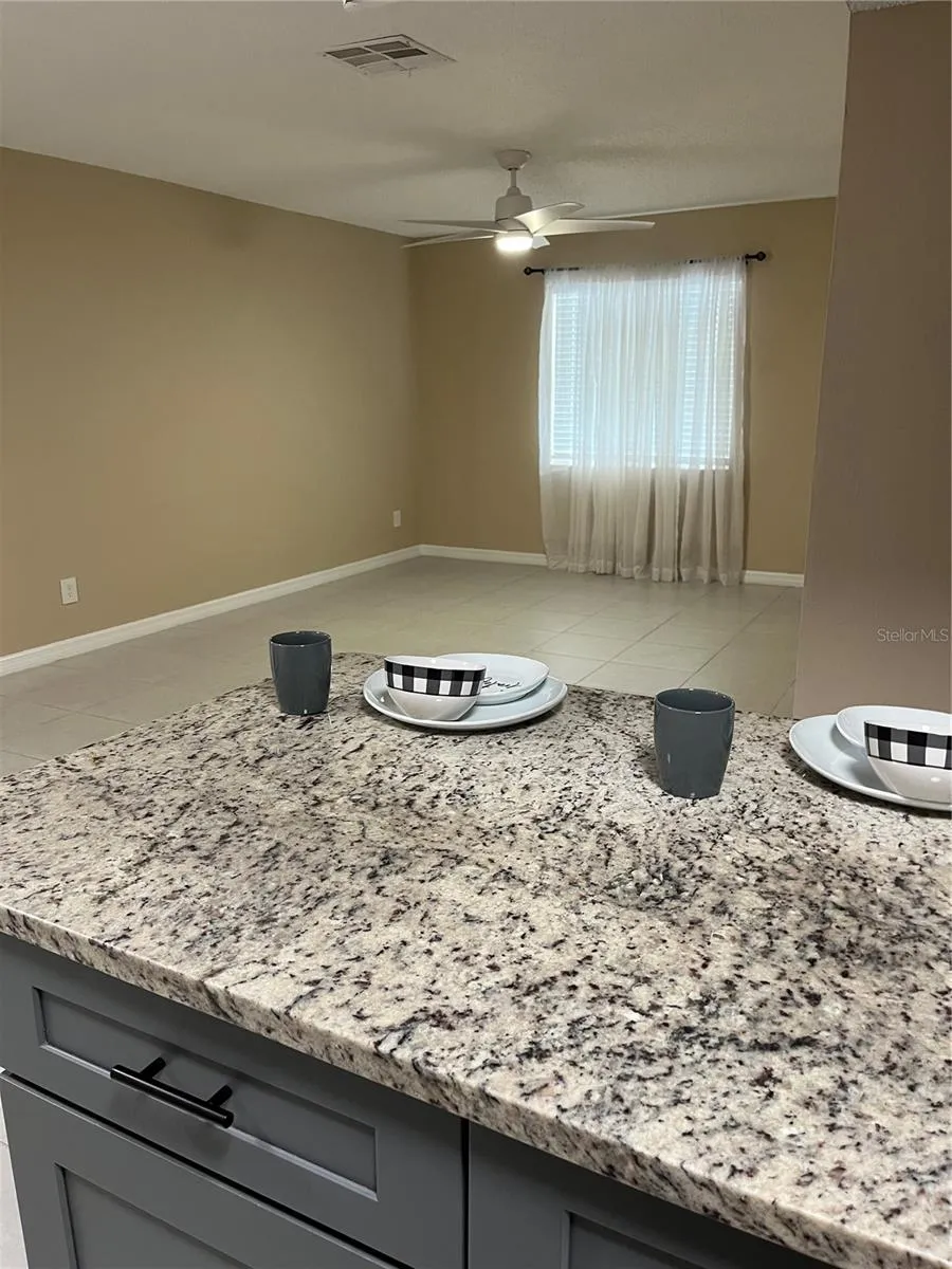 211 THORN TREE PLACE Brandon, FL 33510