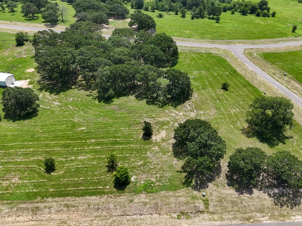 280 Shoreline Drive Dodd City, TX 75438