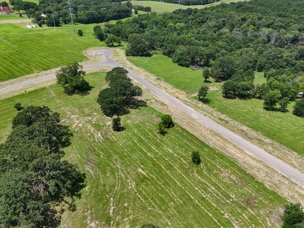 280 Shoreline Drive Dodd City, TX 75438