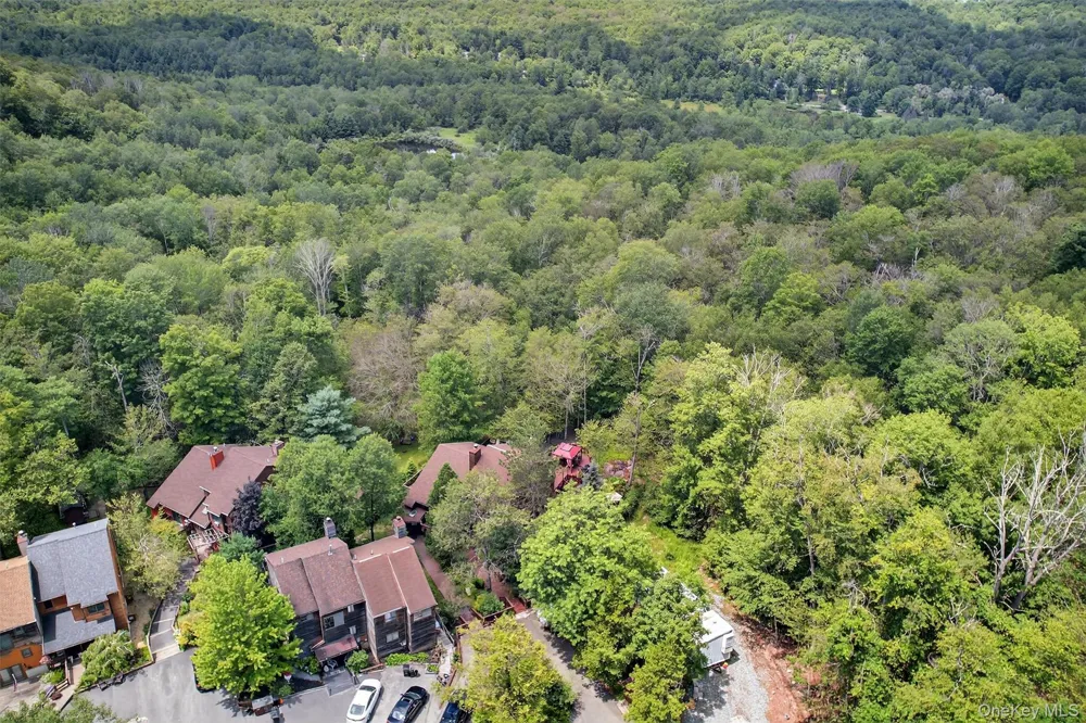 53 Meadowlark Lane Woodridge, NY 12789