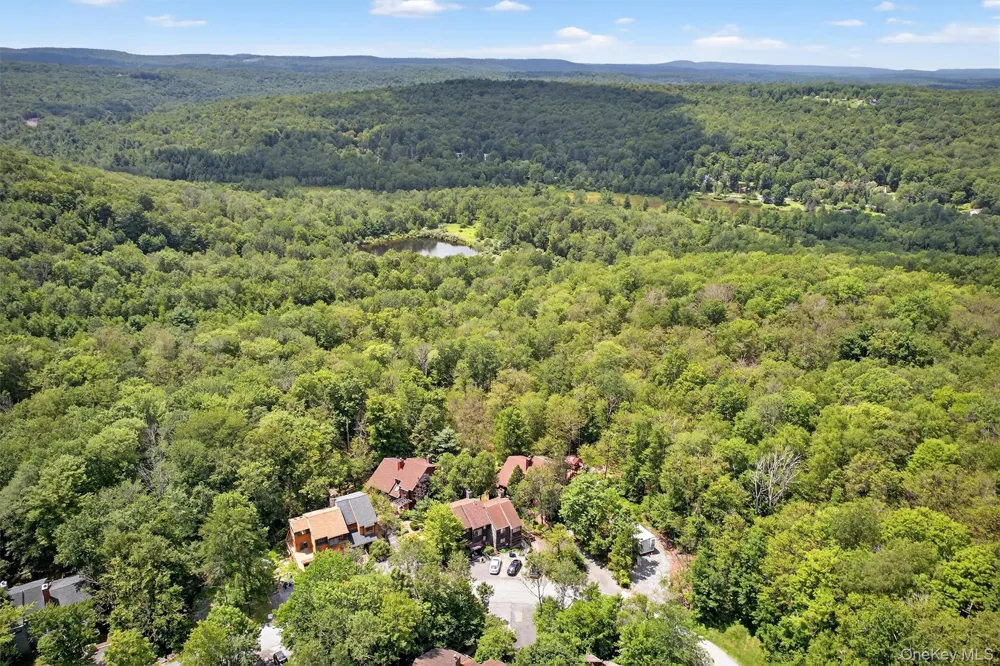 53 Meadowlark Lane Woodridge, NY 12789