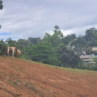 842 CAIMITO #4.2 KM San Juan, PR 00926