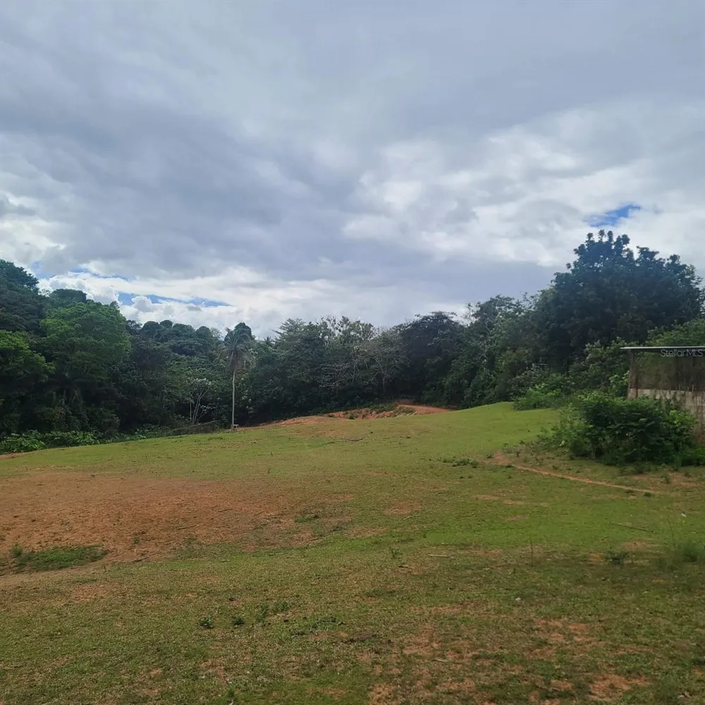 842 CAIMITO #4.2 KM San Juan, PR 00926