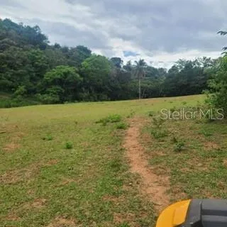 842 CAIMITO #4.2 KM San Juan, PR 00926