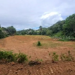842 CAIMITO #4.2 KM San Juan, PR 00926