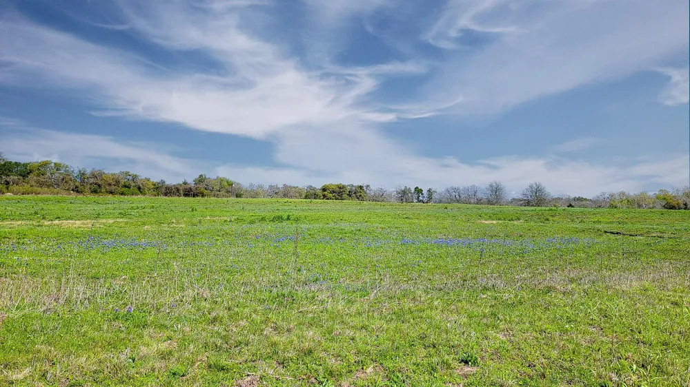 655 Farmers Road Brenham, TX 77833