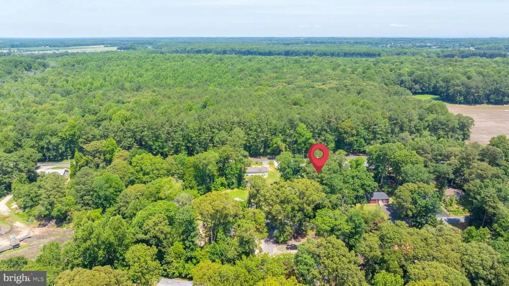 225 LAKE DRIVE Milton, DE 19968