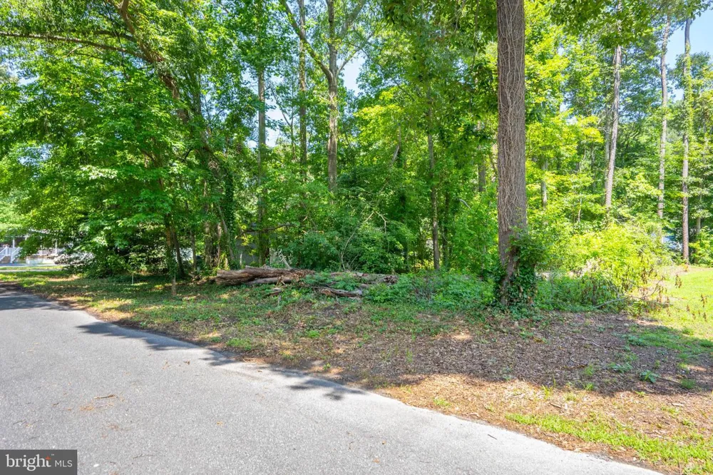 225 LAKE DRIVE Milton, DE 19968