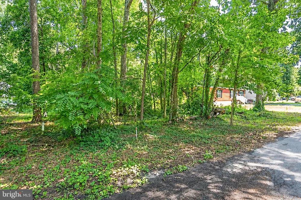 225 LAKE DRIVE Milton, DE 19968