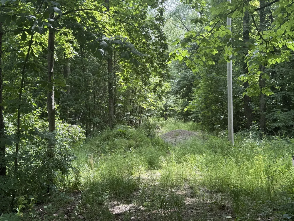 2264 D DRIVE S East Leroy, MI 49051