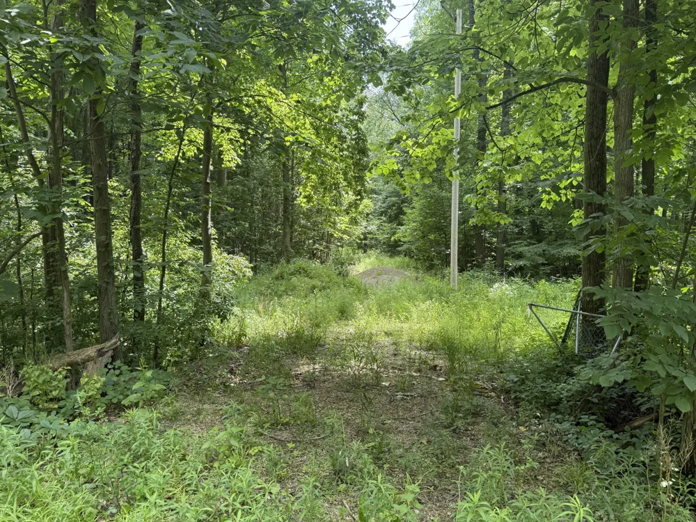 2264 D DRIVE S East Leroy, MI 49051