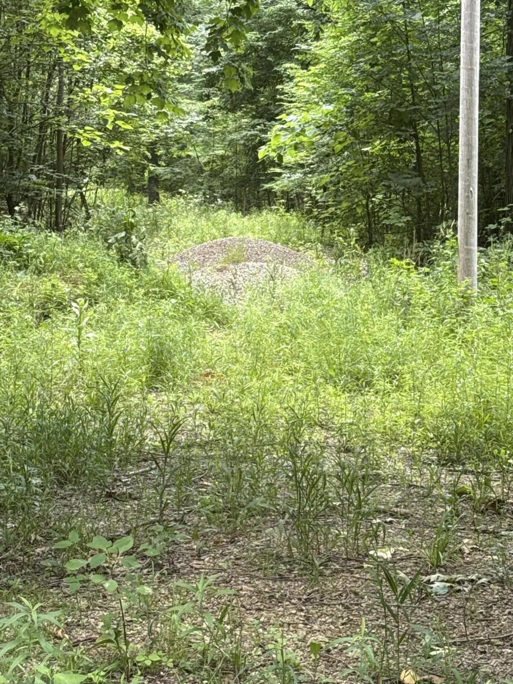 2264 D DRIVE S East Leroy, MI 49051
