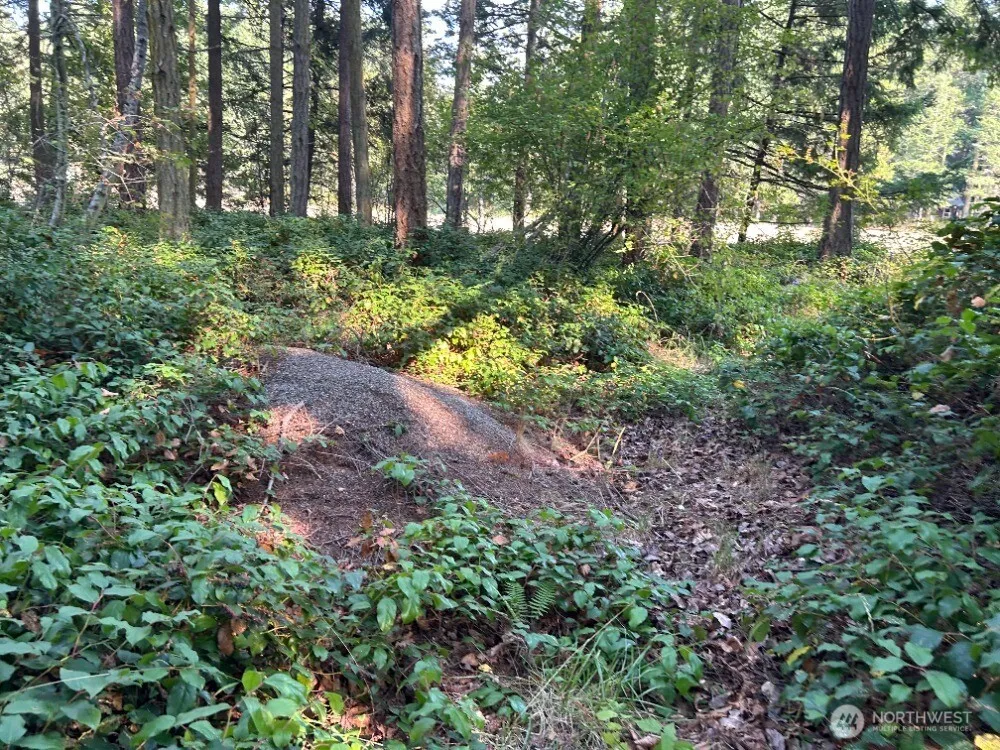 135 Chinook Way Center Island, WA 98221