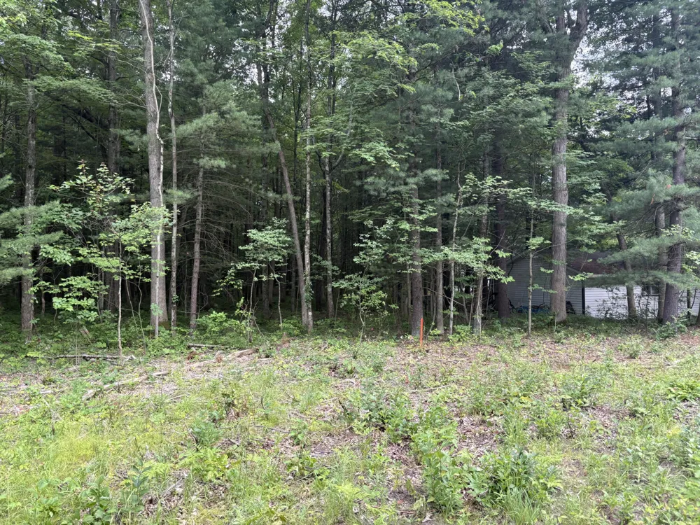 109th Avenue Pullman, MI 49450