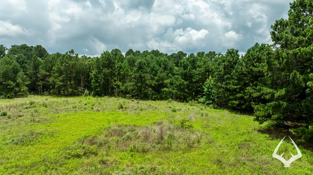 County Road 2265 Grapeland, TX 75844