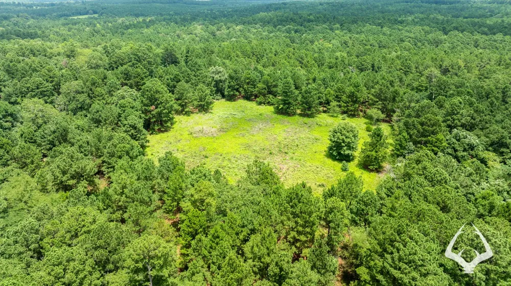 County Road 2265 Grapeland, TX 75844