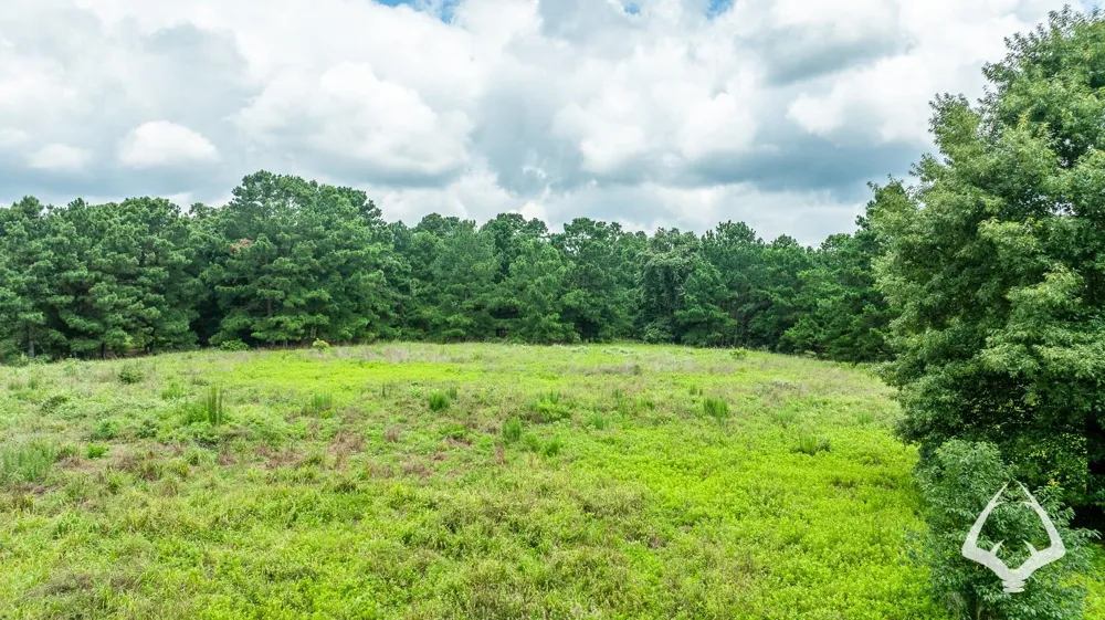 County Road 2265 Grapeland, TX 75844