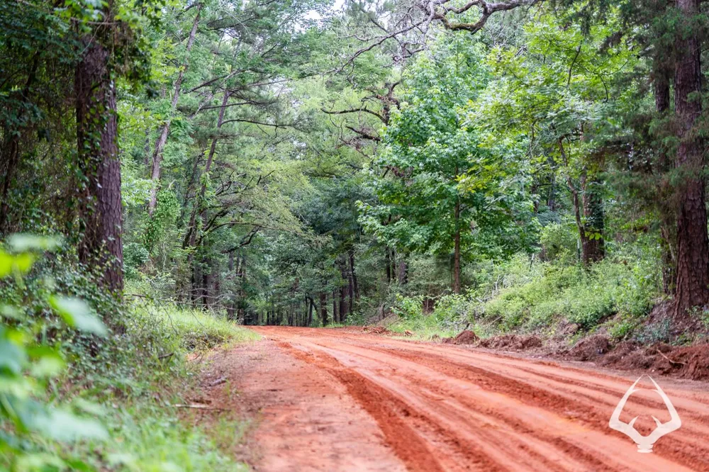 County Road 2265 Grapeland, TX 75844