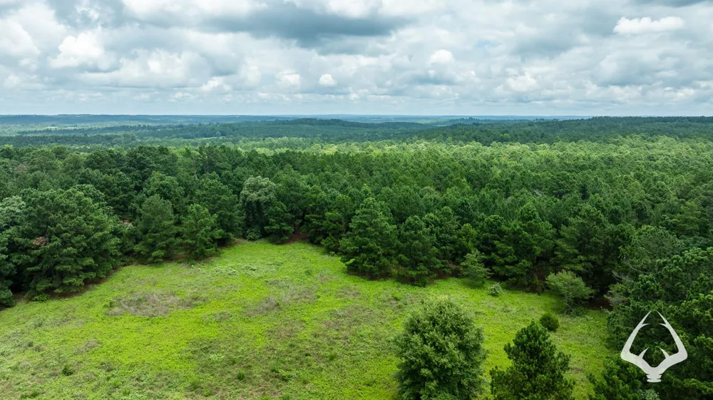County Road 2265 Grapeland, TX 75844