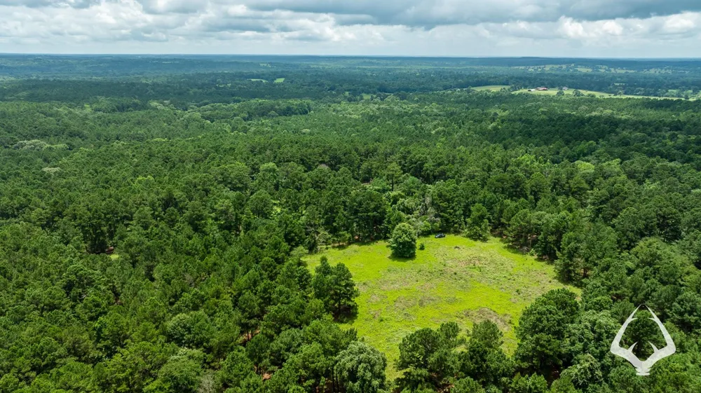 County Road 2265 Grapeland, TX 75844