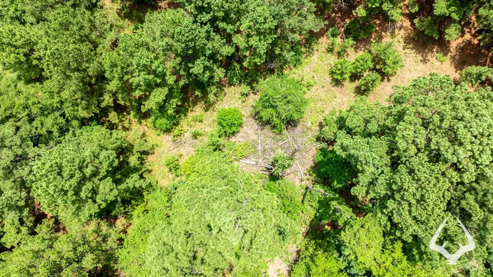 County Road 2265 Grapeland, TX 75844