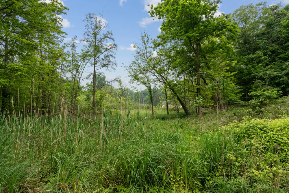 36300 Howard Road Farmington, MI 48331