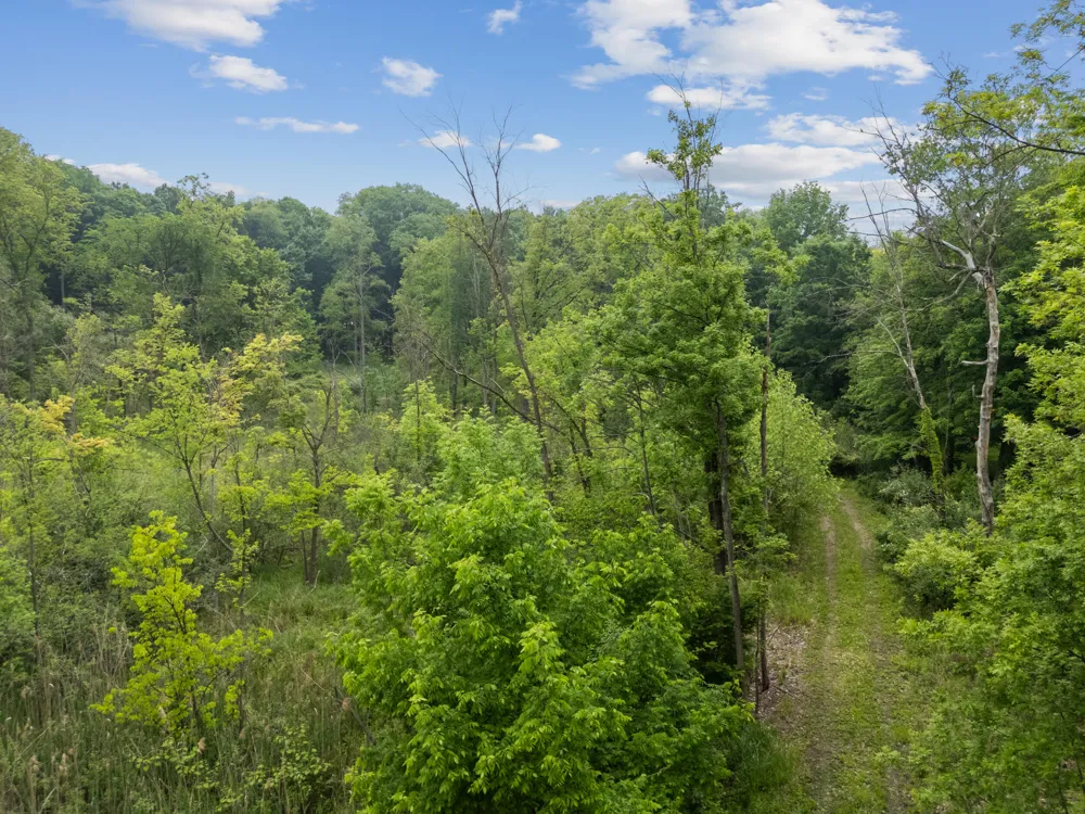 36300 Howard Road Farmington, MI 48331