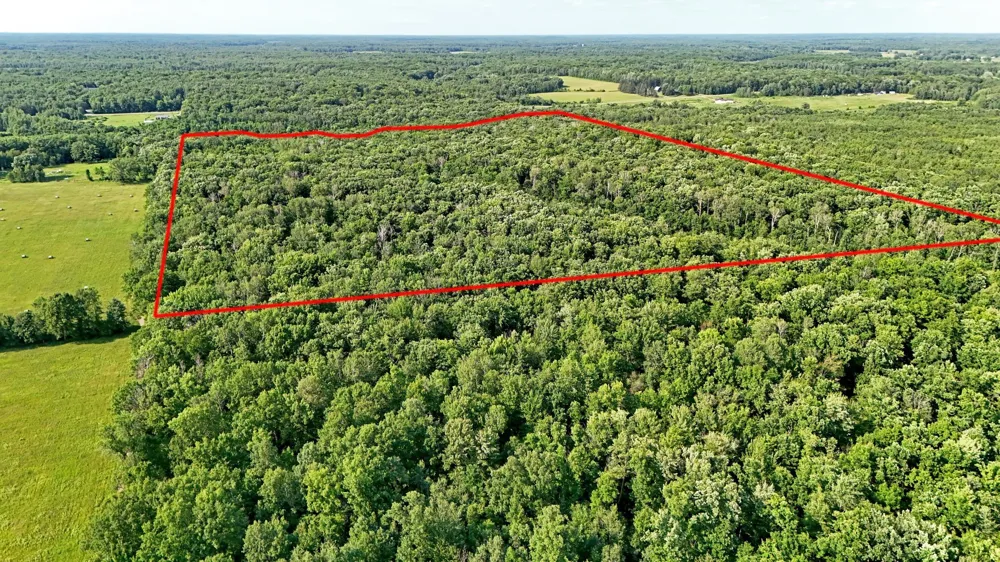 UNASSIGNED 155th Avenue Milaca, MN 56353