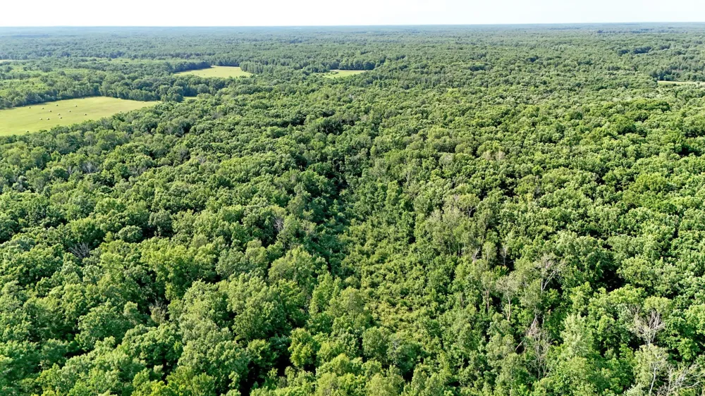 UNASSIGNED 155th Avenue Milaca, MN 56353