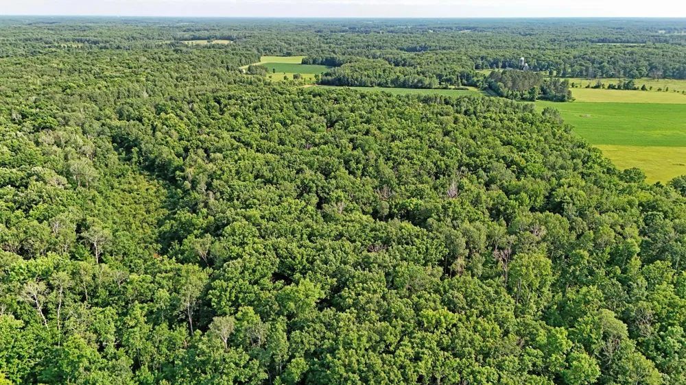 UNASSIGNED 155th Avenue Milaca, MN 56353