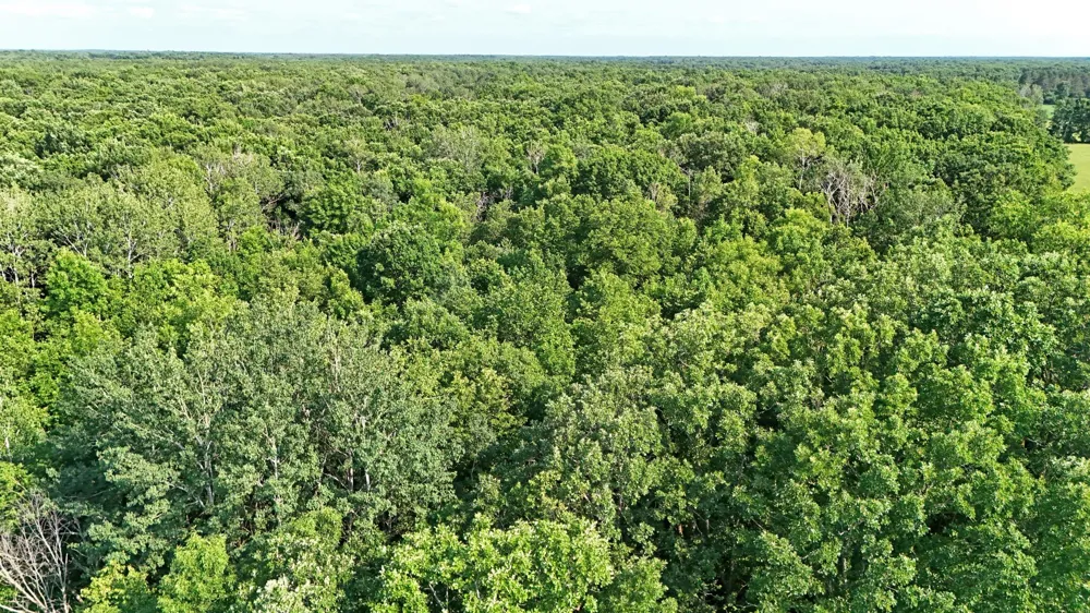 UNASSIGNED 155th Avenue Milaca, MN 56353