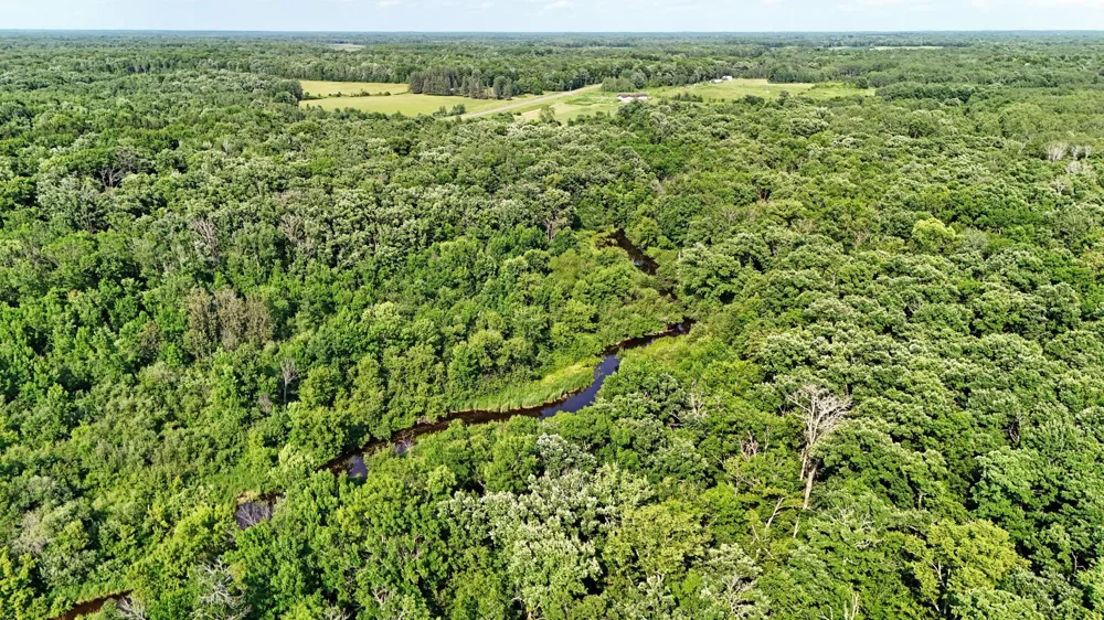 UNASSIGNED 155th Avenue Milaca, MN 56353
