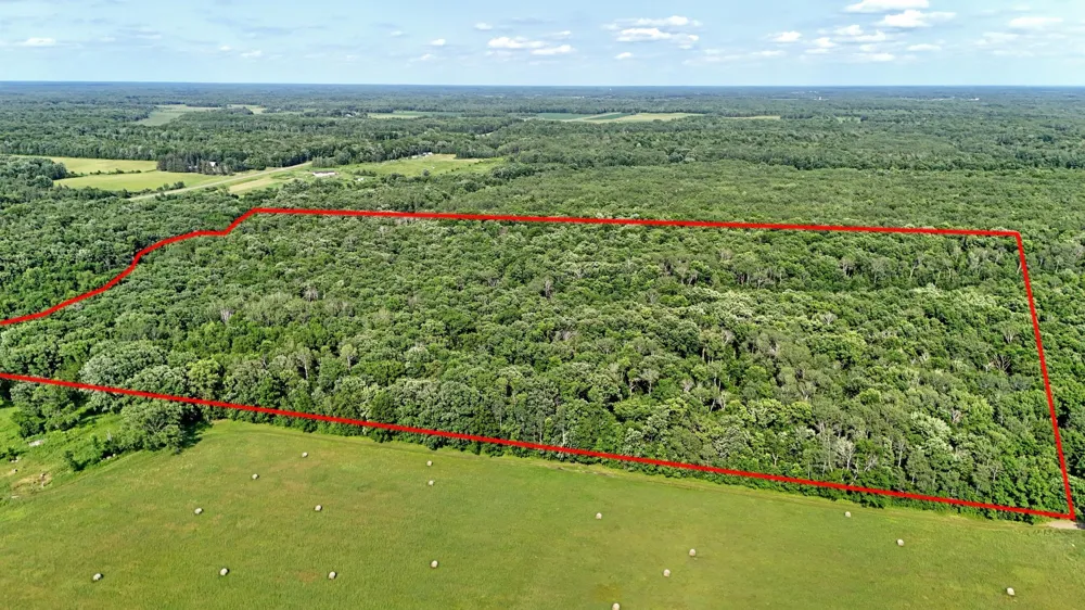 UNASSIGNED 155th Avenue Milaca, MN 56353