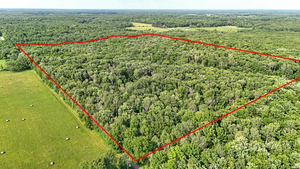 UNASSIGNED 155th Avenue Milaca, MN 56353