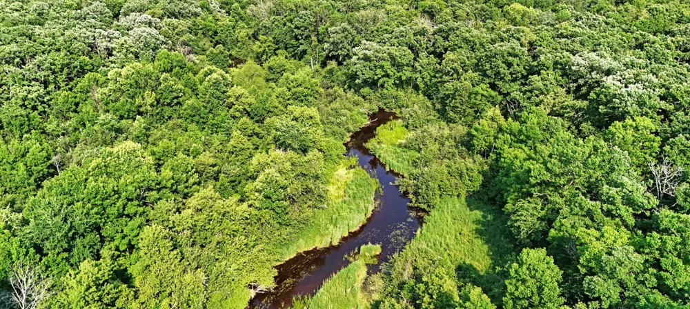 UNASSIGNED 155th Avenue Milaca, MN 56353