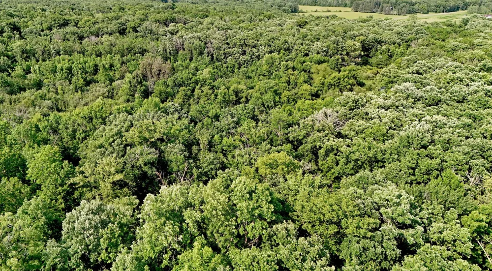 UNASSIGNED 155th Avenue Milaca, MN 56353