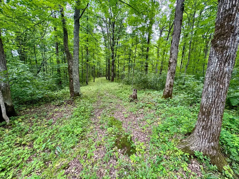 UNASSIGNED 155th Avenue Milaca, MN 56353