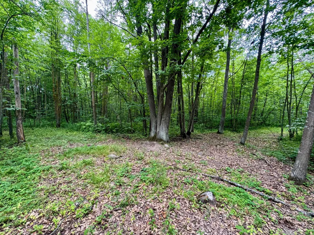 UNASSIGNED 155th Avenue Milaca, MN 56353