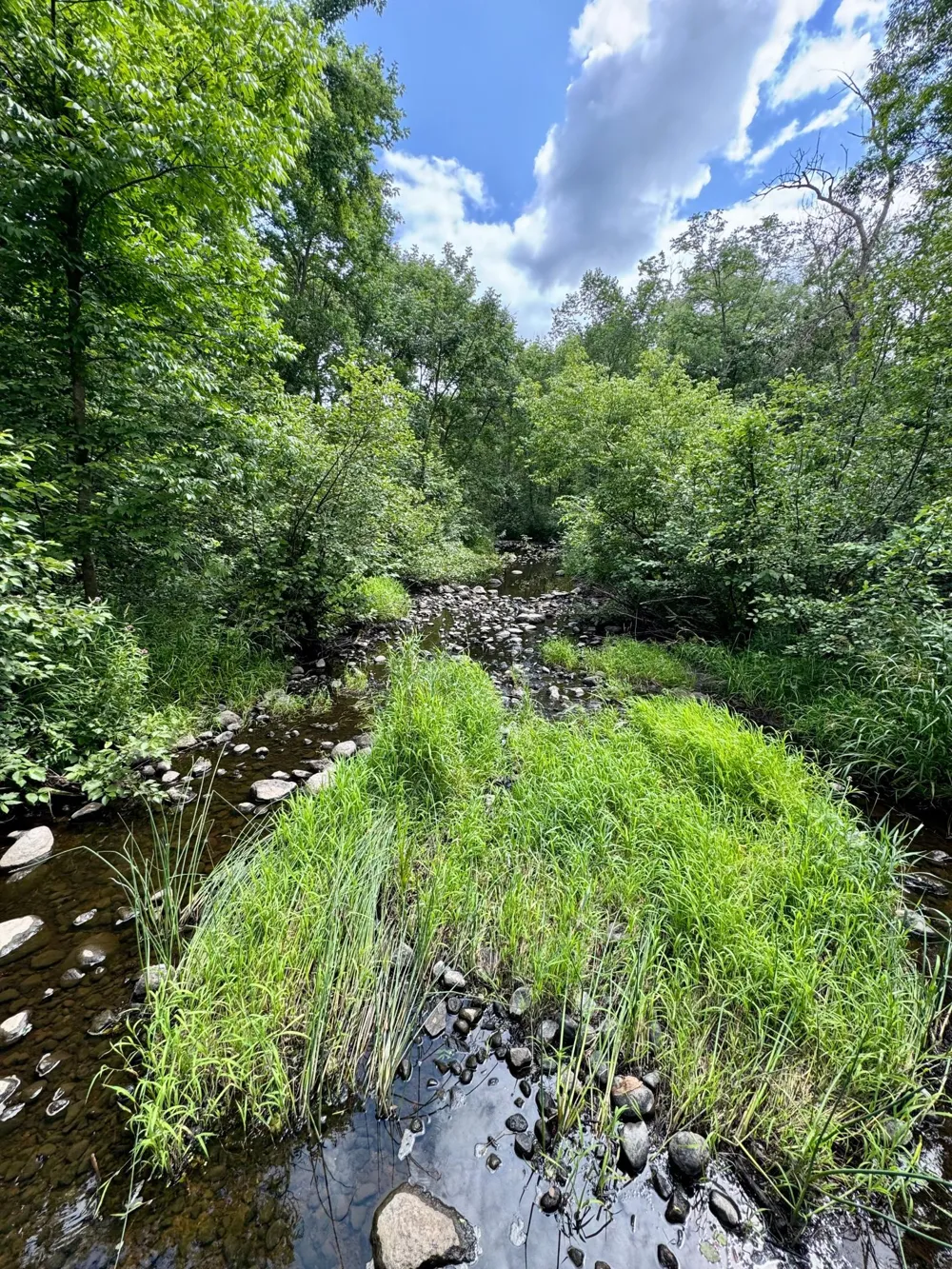 UNASSIGNED 155th Avenue Milaca, MN 56353