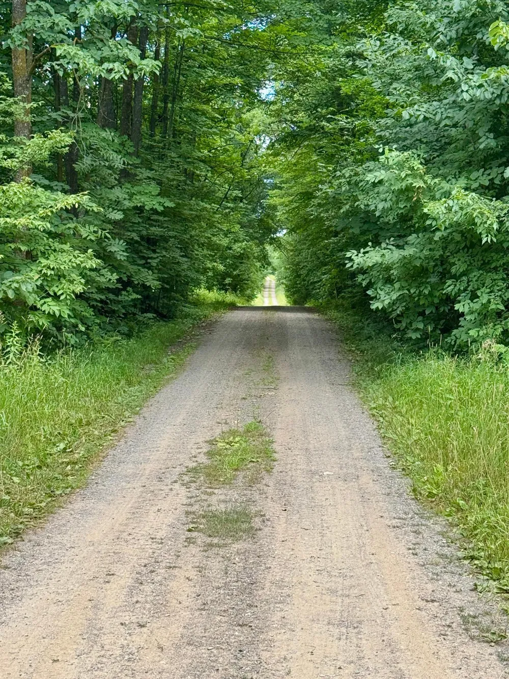 UNASSIGNED 155th Avenue Milaca, MN 56353